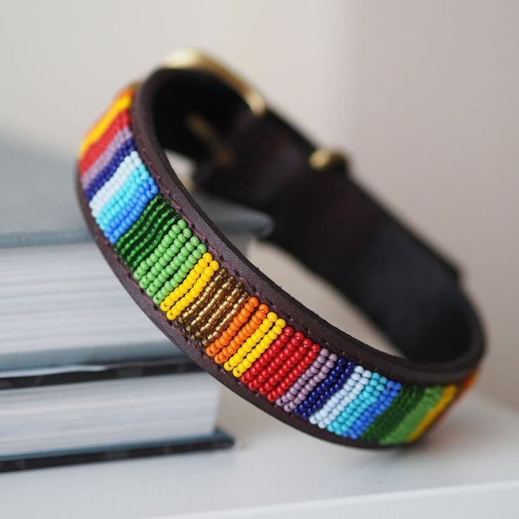 Bingo1.5 Inches beaded dog collar